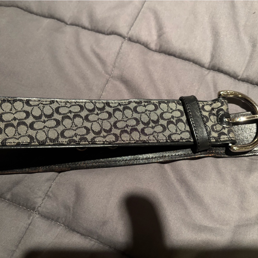 Coach belt